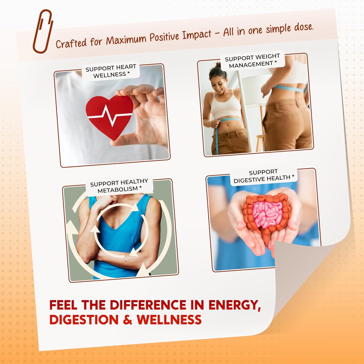 Berberine Cinnamon Apple Cider Vinegar Turmeric - Overall Wellness Support- Made in USA