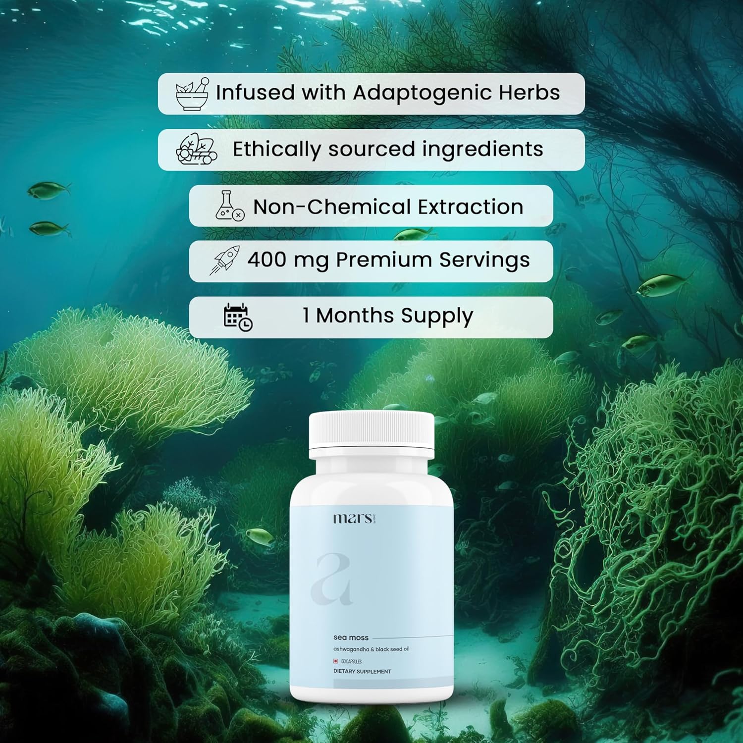 mars by GHC Mars Surge Natural Sea Moss Caps (60N) | Packed with 84 Minerals | Powered with Black Seed Oil | | Overall Well Being - Pack of 1