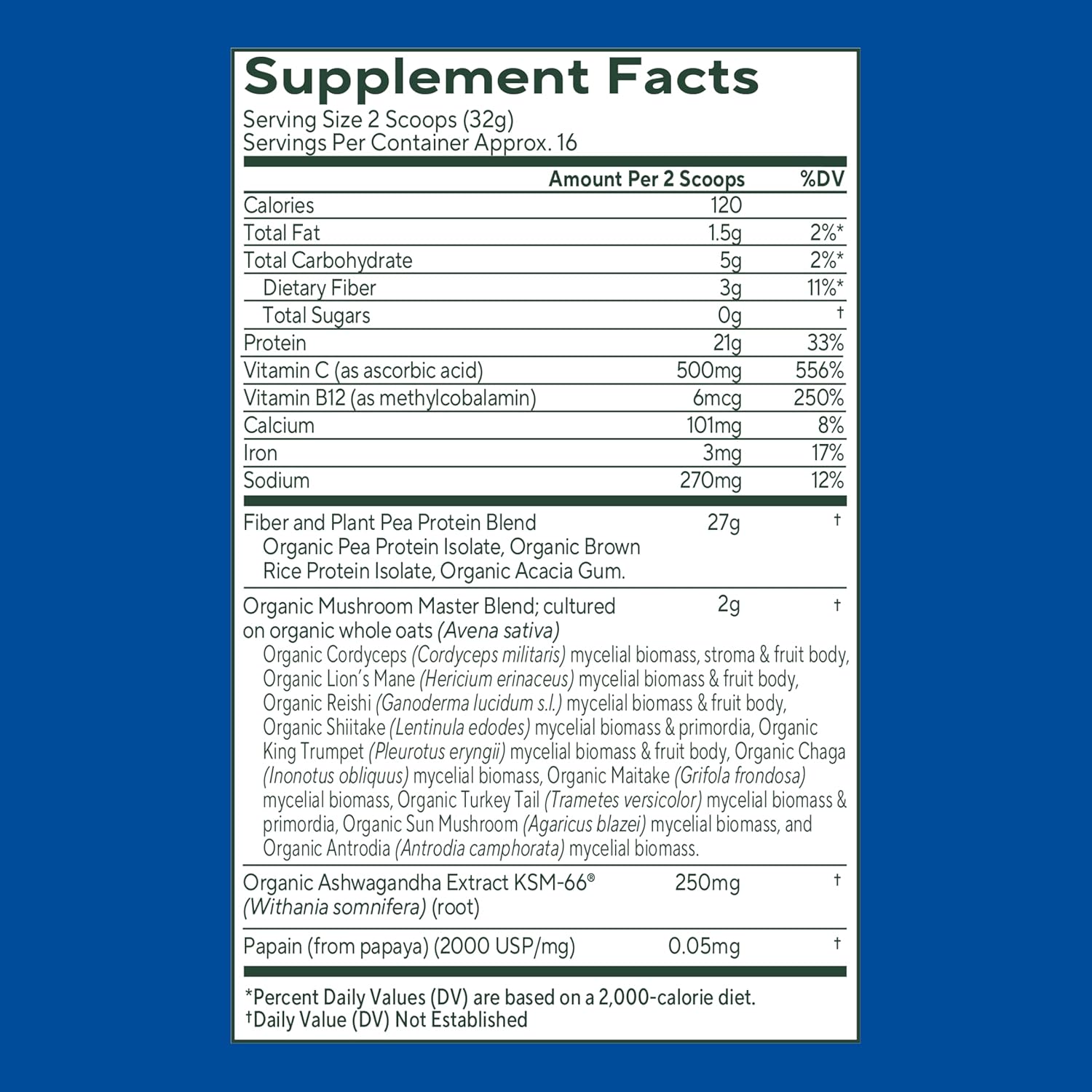 OM MUSHROOM SUPERFOOD Master Blend Plant-Based Protein Powder, 16 Servings, Creamy Vanilla with 10 Mushroom Blend & Adaptogens for Recovery, GLP-1 Support