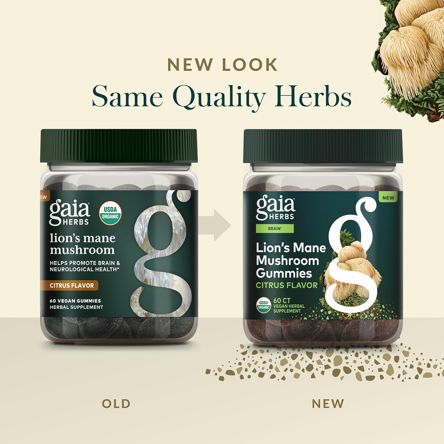 Gaia Herbs Lion's Mane Mushroom - Natural Brain Support Supplement - Made with Organic Lion's Mane Mushrooms - Free from Gluten, Soy & Dairy - 60 Vegan Gummies (30 Servings)