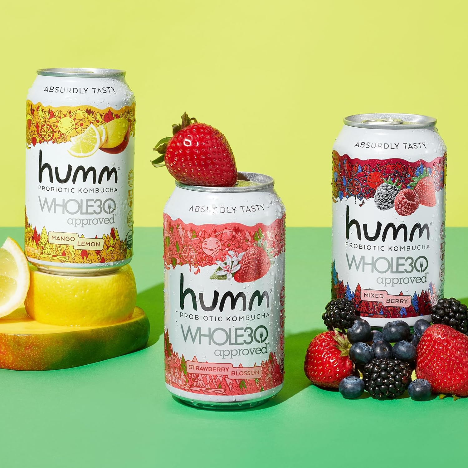 Humm Whole30 Approved Kombucha, Mixed Berry, Organic, Vegan & GMO Free (12 Pack)