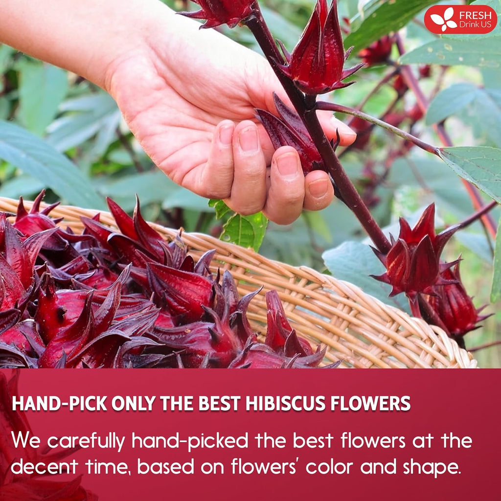 FreshDrinkUS, Premium 140 Hibiscus Flowers Tea Bags, 100% Natural, Handmade & Pure from Hibiscus Flowers. No Sugar/Caffeine/Gluten, Vegan. Tart & Refreshing, Hot or Ice Tea, Great For All Seasons