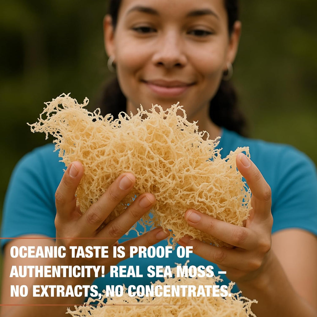 Biolore Wildcrafted Sea Moss Gel - Mango Pineapple 16 oz - Flavored Sea Moss Gel with Essential Vitamins & Trace Minerals - Vegan Superfood - Made in USA, Gluten-Free, No Added Sugar