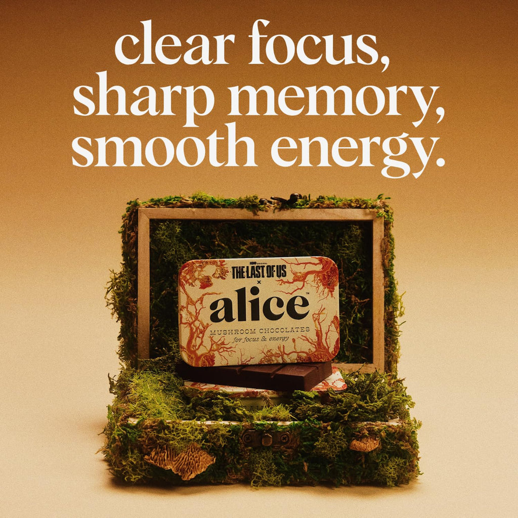 Alice Mushrooms x HBO’s The Last of Us Brainstorm | Mushroom Chocolates | Energy Bites for Focus, Clarity & Cognitive Function | Lions Mane, Cordyceps Mushrooms, Natural Caffeine | 4 Pack