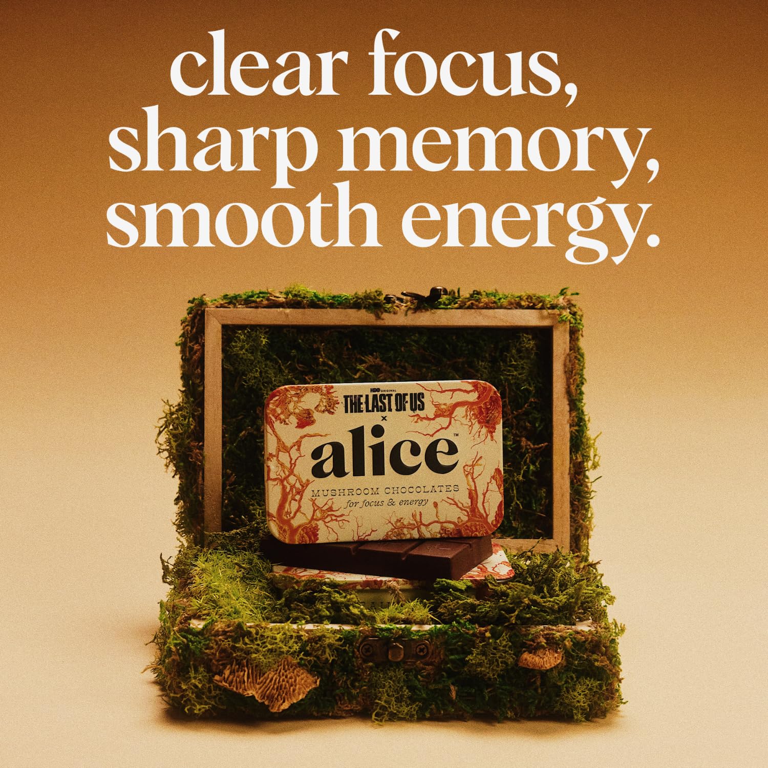 Alice Mushrooms x HBO’s The Last of Us Brainstorm | Mushroom Chocolates | Energy Bites for Focus, Clarity & Cognitive Function | Lions Mane, Cordyceps Mushrooms, Natural Caffeine | 4 Pack
