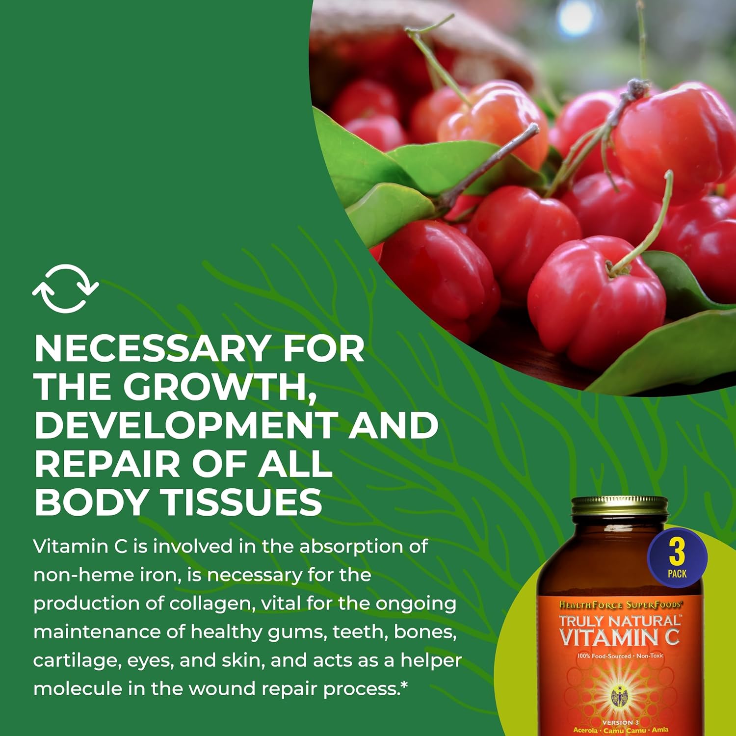 HEALTHFORCE SUPERFOODS Truly Natural Vitamin C - Immune Support Supplement with Camu Camu Berry - Vitamin C Supplement for Immune Health - Vegan, Non-GMO - 400 Grams, 67 Servings (Pack of 2)