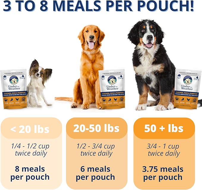 Under the Weather Bland Diet for Dogs | Easy to Digest for Sick Dogs |Always Be Ready | Contains Electrolytes - All Natural Freeze Dried 100% Human Grade Meats | 2 Pack - Rice, Chicken & Pumpkin - 6oz