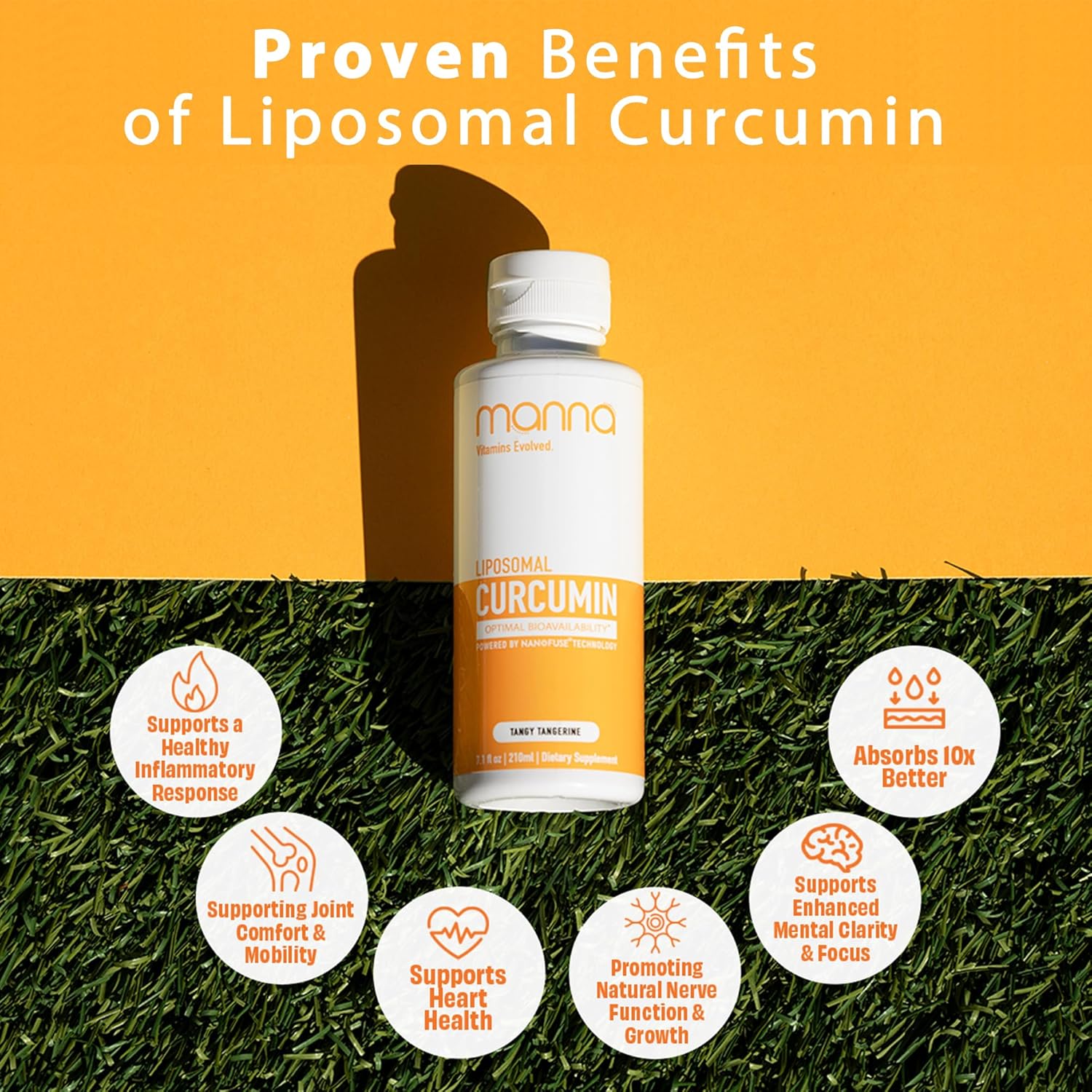 Manna Vitamins Evolved Liposomal Liquid Curcumin for Advanced Absorption Best Turmeric Supplement for a Healthy Life (2 Pack)