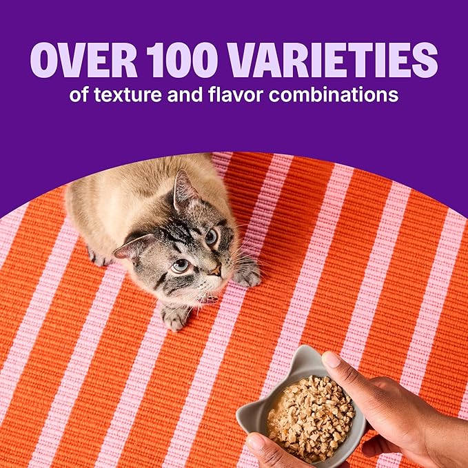 Wellness CORE Signature Selects Shredded Adult Wet Cat Food, Natural, Protein-Rich, Grain Free, 5.3 Ounce, 12 Pack (Chicken & Chicken Liver)