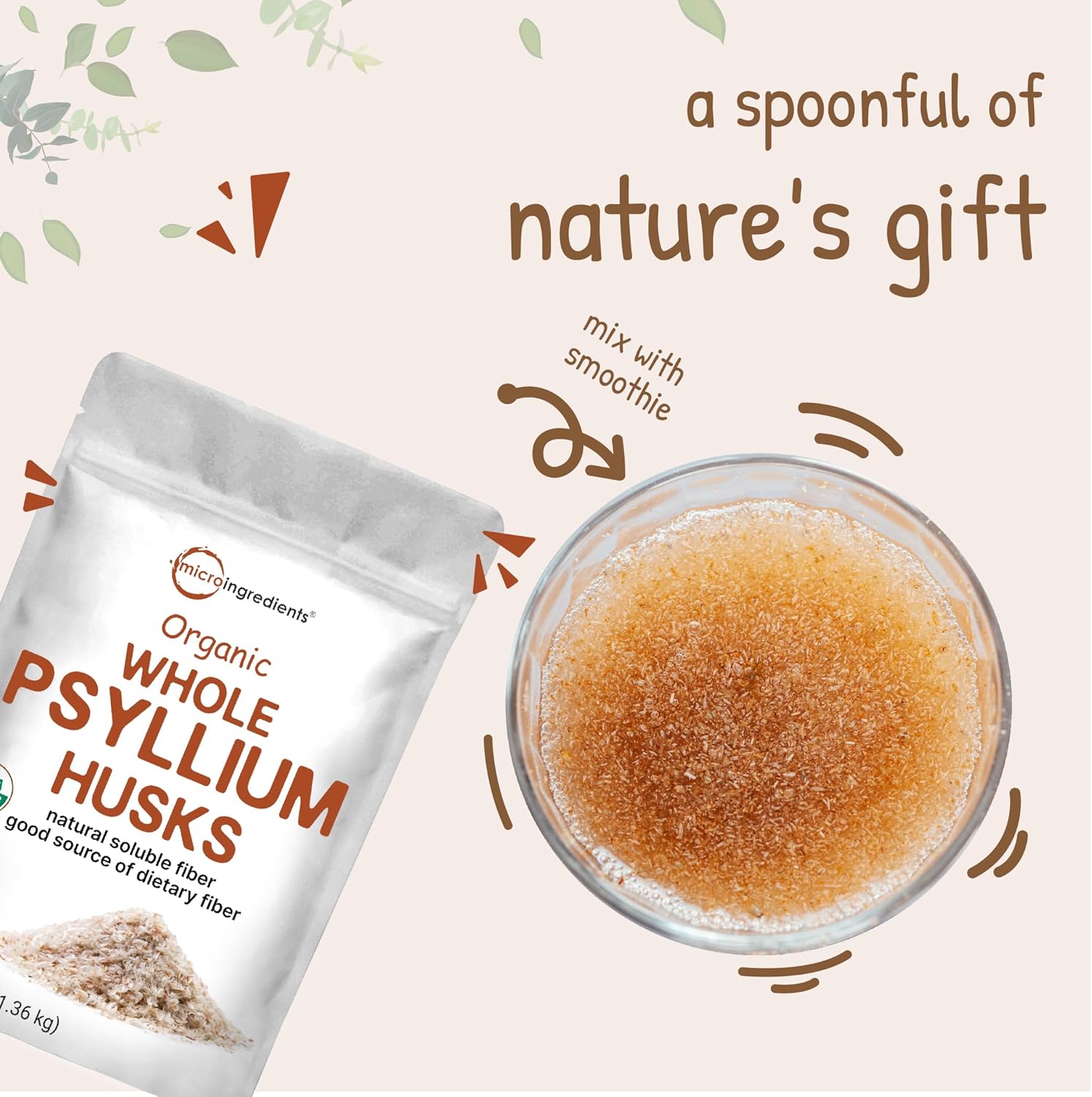 Micro Ingredients Organic Whole Psyllium Husks, 3lbs | Daily Soluble Fiber Supplement | India Origin | Natural Prebiotics & Probiotics | Supports Digestive Health|Non-GMO, Keto Friendly, Vegan