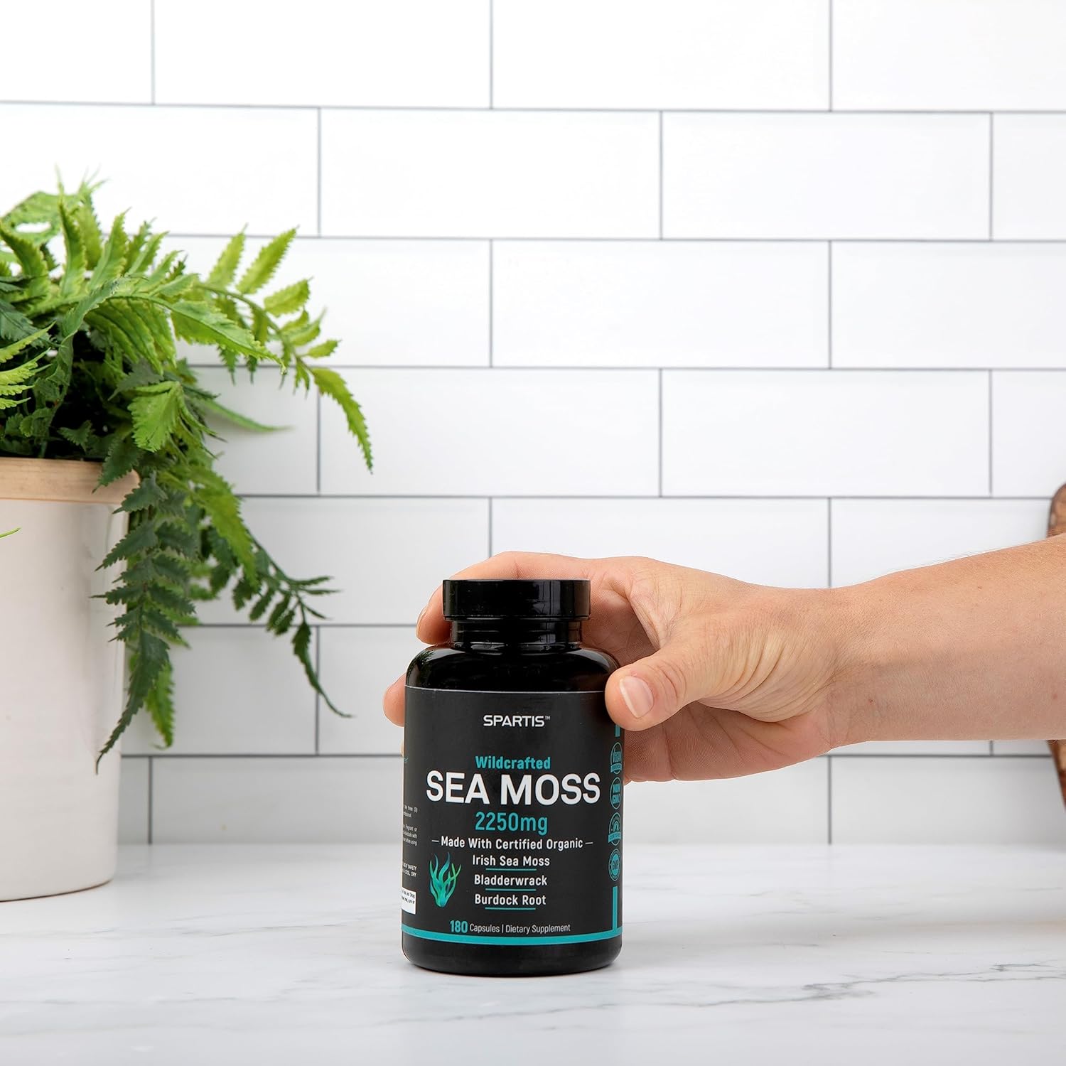 Certified Organic Sea Moss Capsules 2250mg Wildcrafted Irish Sea Moss Burdock Root Bladderwrack Supplement Raw Seamoss Pills & Powder (Pack of 1 at 180-Caps)