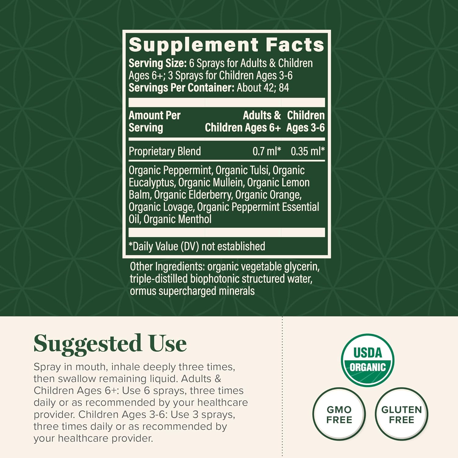 Global Healing Organic Lung Health Supplement - Herbal Nasal Decongestant Spray for Lung Cleanse, Respiratory Support and Mucus Relief To Breath Easy - Normal Nose Allergy and Sinus Defense - 1 Fl Oz