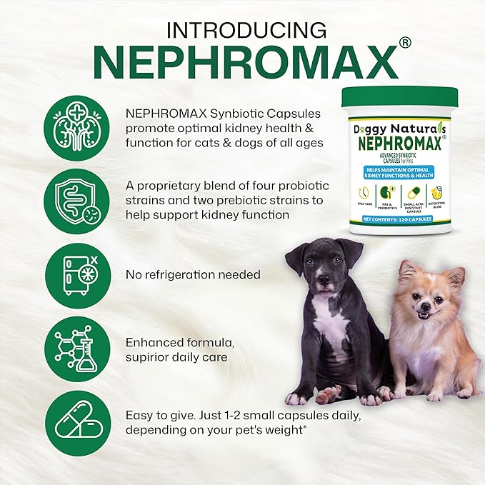 NEPHROMAX™ Synbiotic Capsules for Kidney Support for Dogs & Cats (120 Small Capsules) - Advanced Next-Generation Enteric detoxifying Blend of Pre & Probiotics Kidney Support U.S.A (120 Caps)