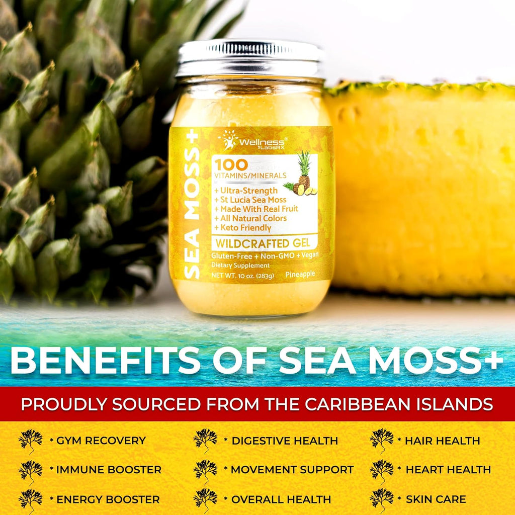 Irish Sea Moss Gel Raw - Wildcrafted Superfood Seamoss Gel - Pineapple Flavor, Vitamin and Mineral-Rich from Pristine Caribbean Waters, Immune and Digestive Health Support - 10 oz.