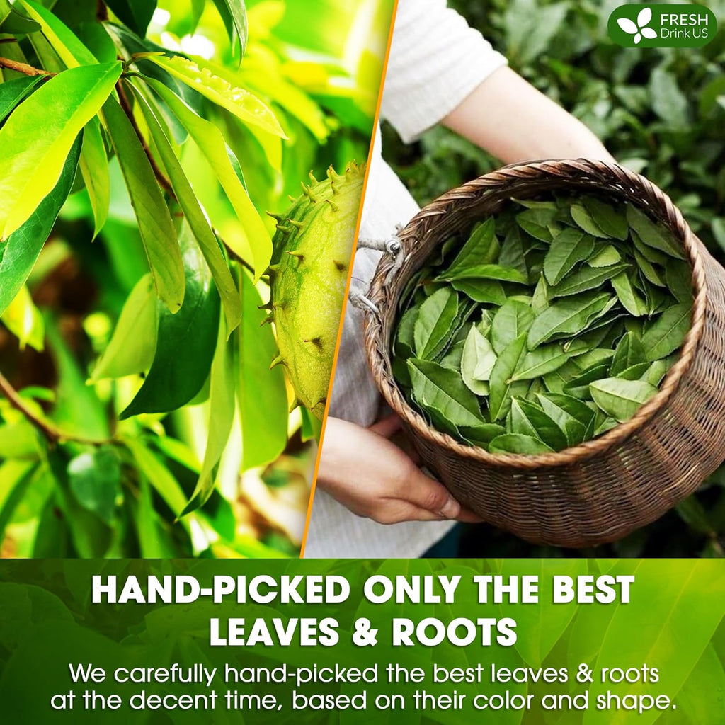 FreshDrinkUS, Premium 75 Tea Bags Soursop Green Tea, 100% Natural & Proprietary Blend from Soursop Leaves and Green Tea. Smooth Flavor. Made with Eco-Conscious Tea Bags. No Additives No Sugar, Vegan.