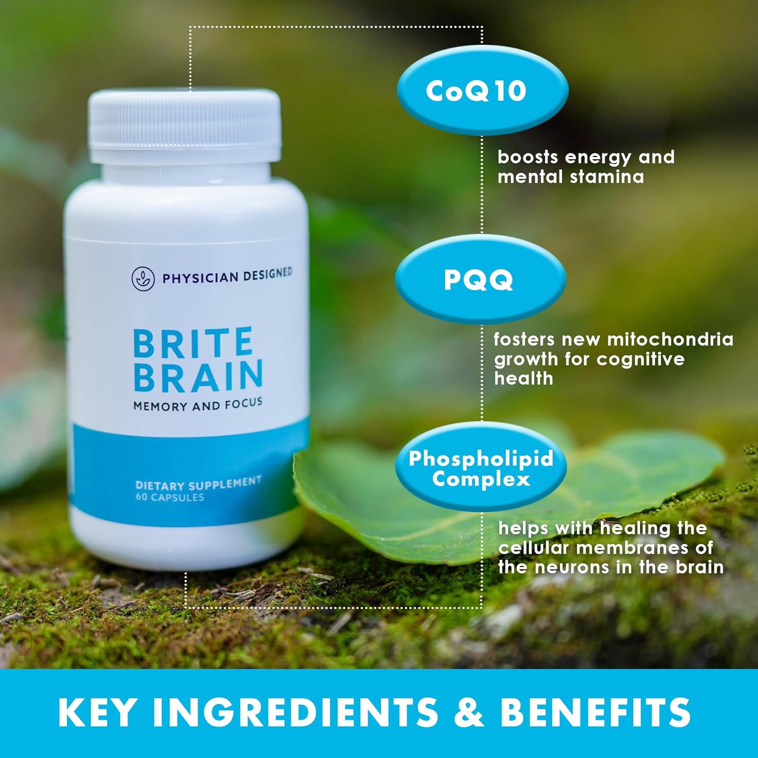 Physician Designed Brite Brain Supplement | Ultra CoQ10 with PQQ | for Energy, Focus & Brain Health | Micro Active | Anti-Aging| CoQ10 | All Ages | 60 Capsules