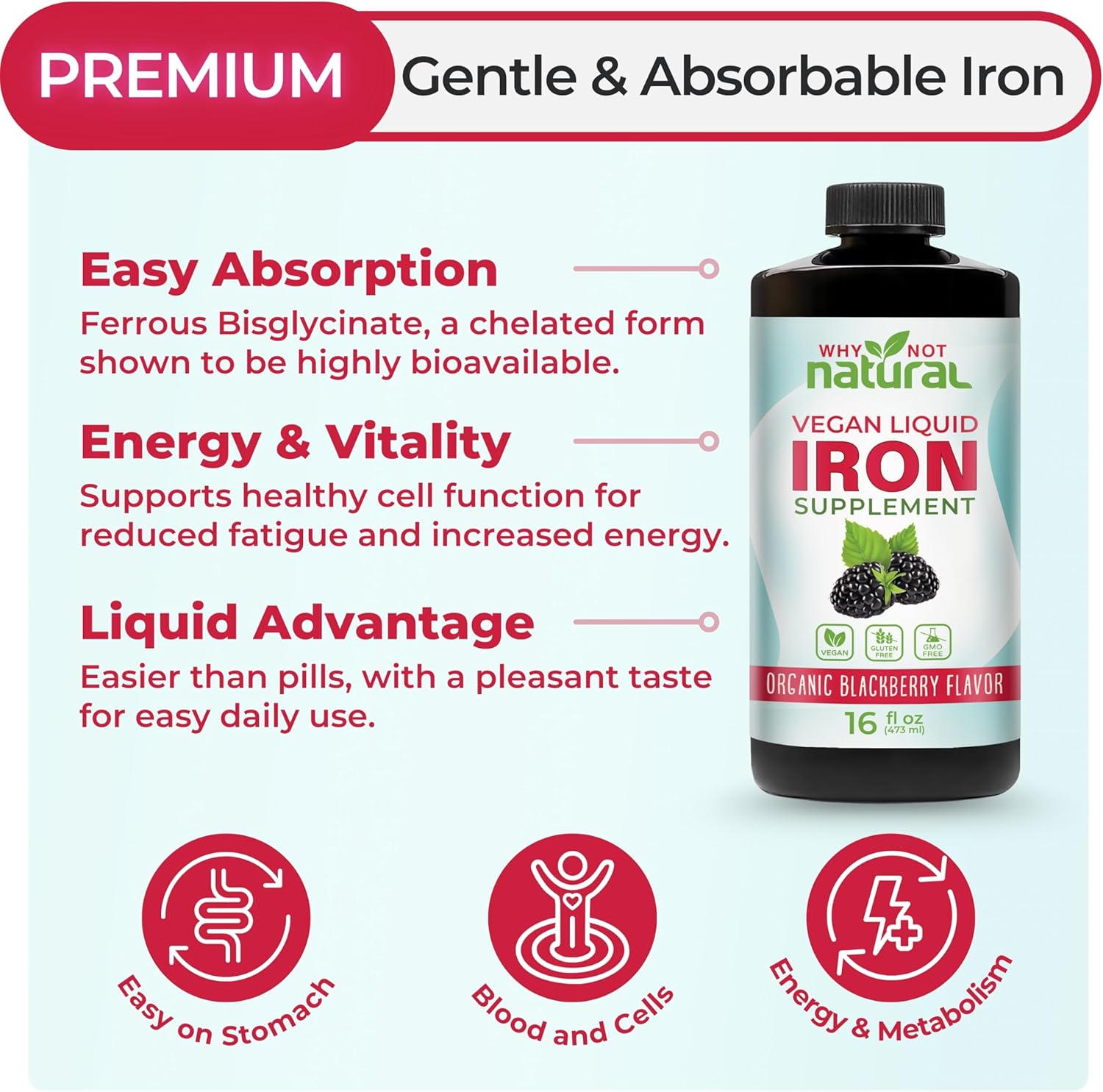 Why Not Natural Liquid Iron Supplement for Women, Men and Kids, Vegan Formulation for Anemia, Sugar Free, Vegan, Non-GMO, Organic BlackBerry Flavor 16 Fl Oz