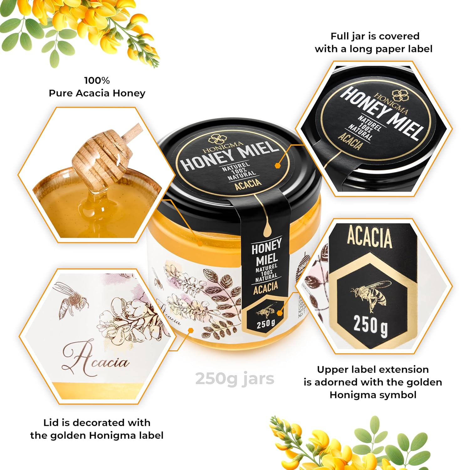 HONIGMA® Acacia Raw Honey | Exquisite Taste | 100% Pure | Unpasteurized | Unfiltered | Partially crystallized | 250g/8.8oz | Pack of 2