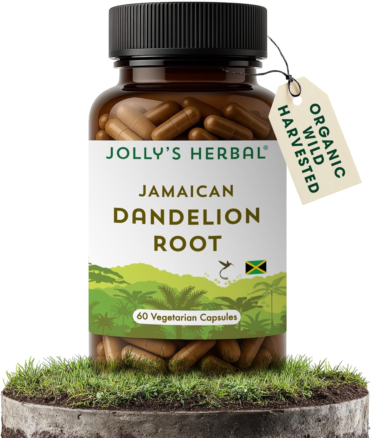Jolly's Herbal Jamaican Dandelion Root, 60 Vegetarian Capsules, 100% Wild Harvested (Pack of 1)