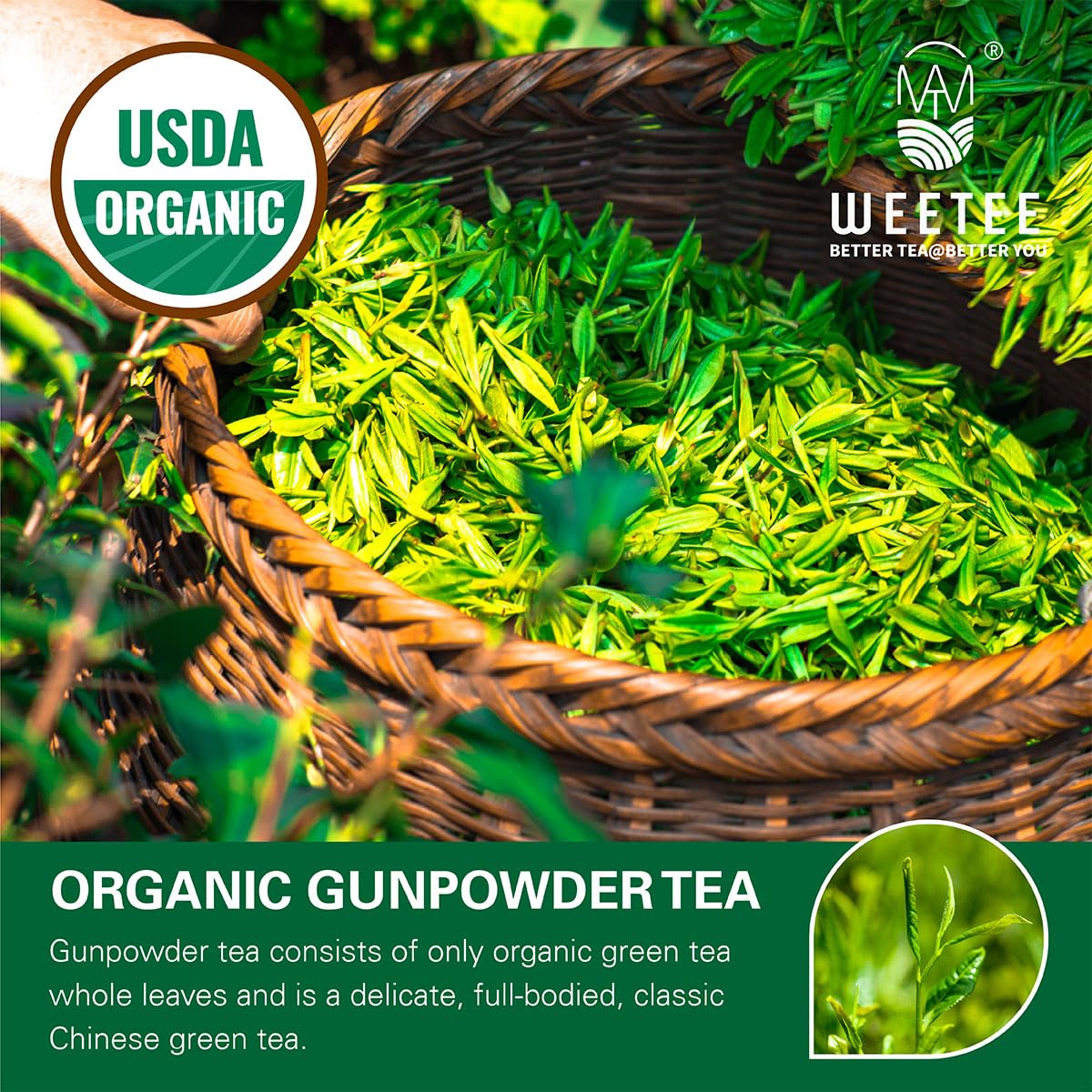 WT WEETEE Organic Gunpowder Green Tea, USDA Organic Loose Leaf Green Pearls Tea 8 Ounce, Full-Bodied & Gently Rolled Chinese Green Tea, Caffeinated