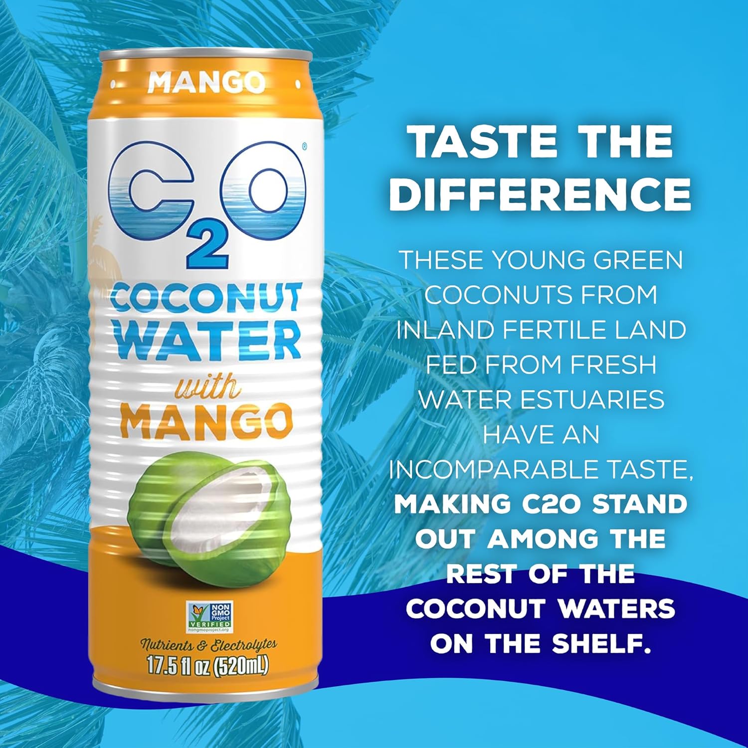 C2O - Coconut Water with Mango (12 Pack) - Made with Fresh Coconut Water - Plant Based - Non GMO - Canned Water - Natural Hydration, Essential Electrolytes, & Potassium - 12 Cans, 17.5 FL OZ