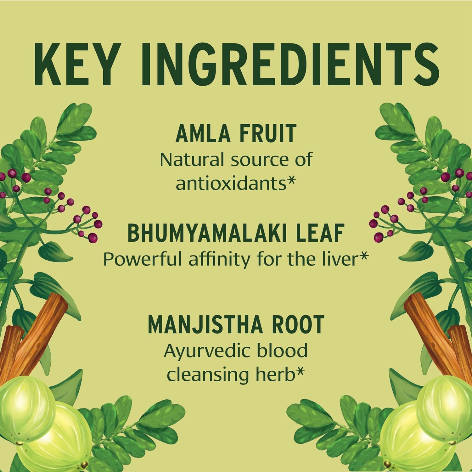 Banyan Botanicals Total Body Cleanse – Organic Cleanse Supplement with Amla & Manjistha – Supports Healthy Digestion, Detox, & Natural Cleansing* – 90 Tablets – Non GMO Sustainably Sourced Vegan