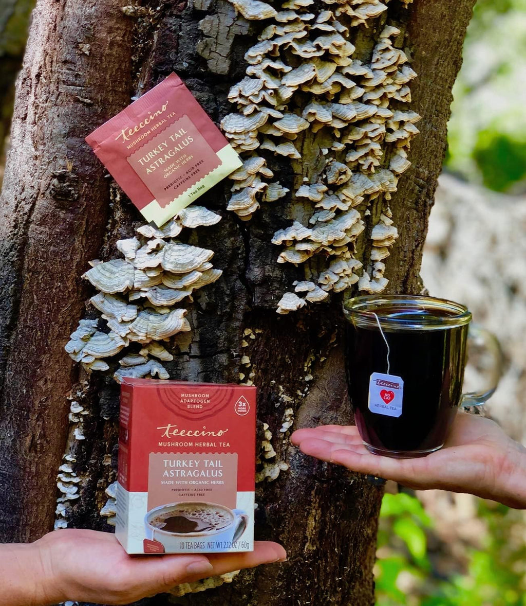 Teeccino Mushroom Herbal Tea - Turkey Tail Astragalus Toasted Maple - Caffeine Free, Prebiotic, 3x More Herbs - 25 Tea Bags, Pack of 3