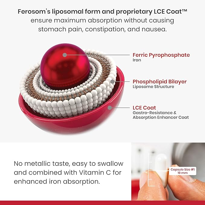 LCE Liposomal Iron Capsules – 30mg Elemental Iron with Vitamin C – Gentle Supplement for Women and Men – Easy-to-Swallow Vegan Capsules, 30 Count