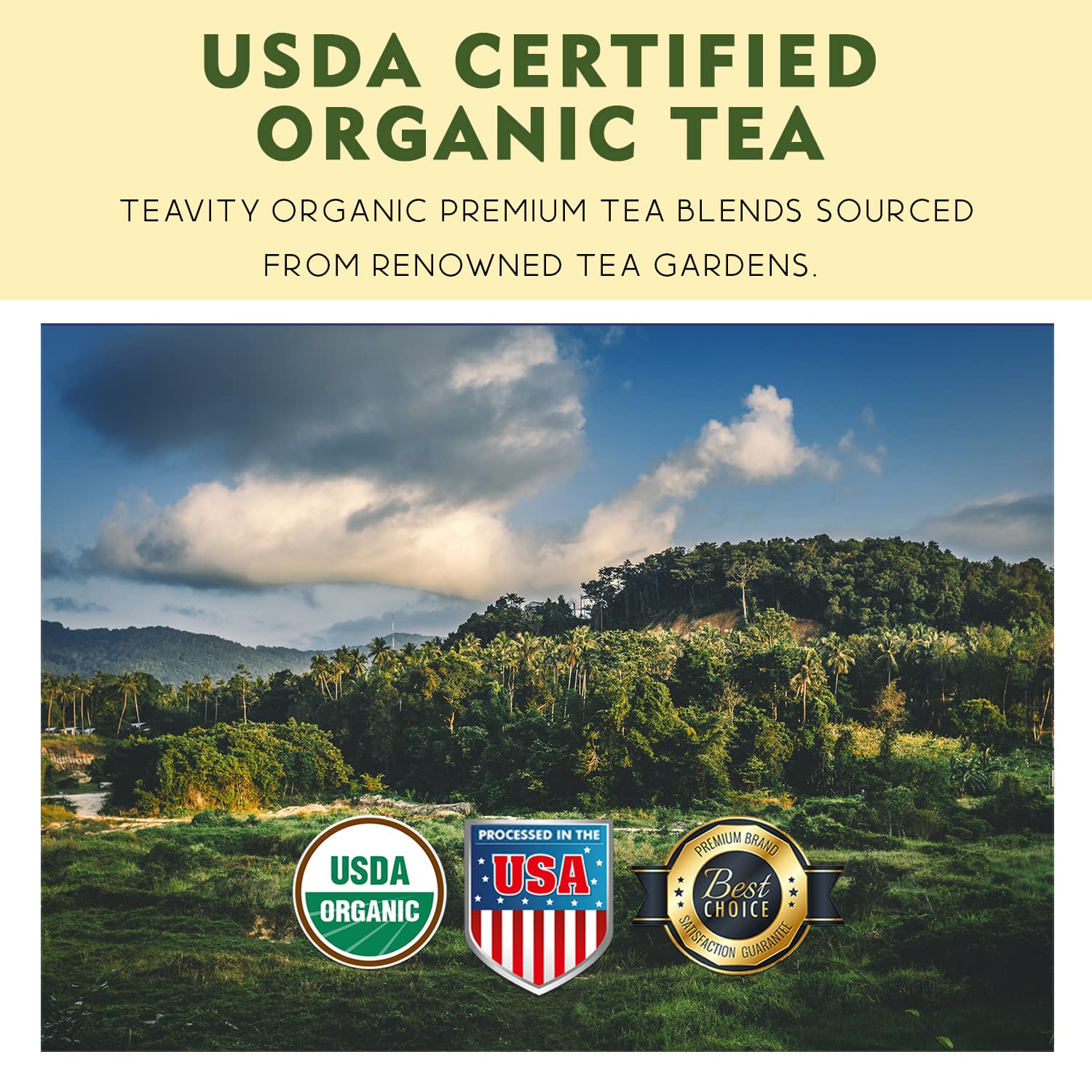 Organic Black Tea Pods for Keurig - Naturally Caffeinated Unsweetened Black Tea Pods by Teavity (24 Tea Pods)