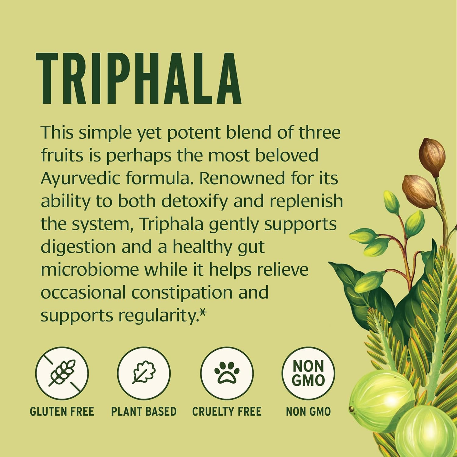 Banyan Botanicals Triphala Powder - Organic Digestion Supplement with Amla, Haritaki & Bibhitaki – Digestion, Colon Support & Healthy Gut Microbiome* – 1/2 lb – Non-GMO Sustainably Sourced Vegan
