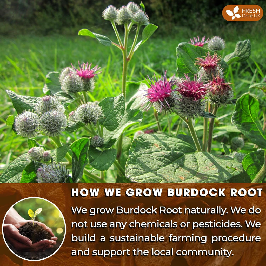FreshDrinkUS, Premium 120 Burdock Root Tea Bags, 100% Natural & Pure, Herbal Tea. Made with Natural Material Tea Bags. No Sugar, No Caffeine, No Gluten, Vegan.