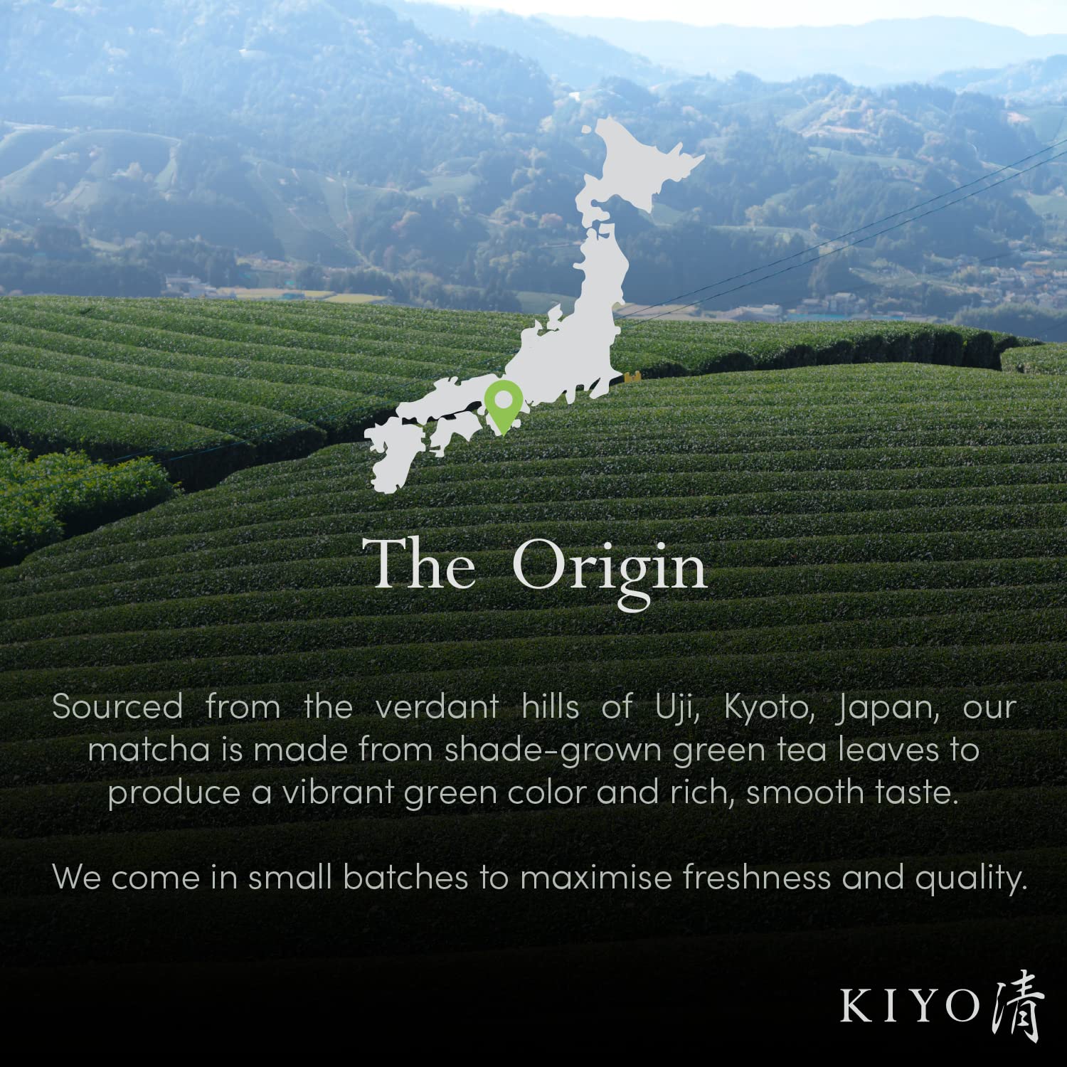 Kiyo Matcha Ritual Grade Wakyo Ceremonial Uji Matcha - Pure Japanese First Harvest Ceremonial Grade Matcha Green Tea Powder from Uji, Japan (40g/1.4oz)