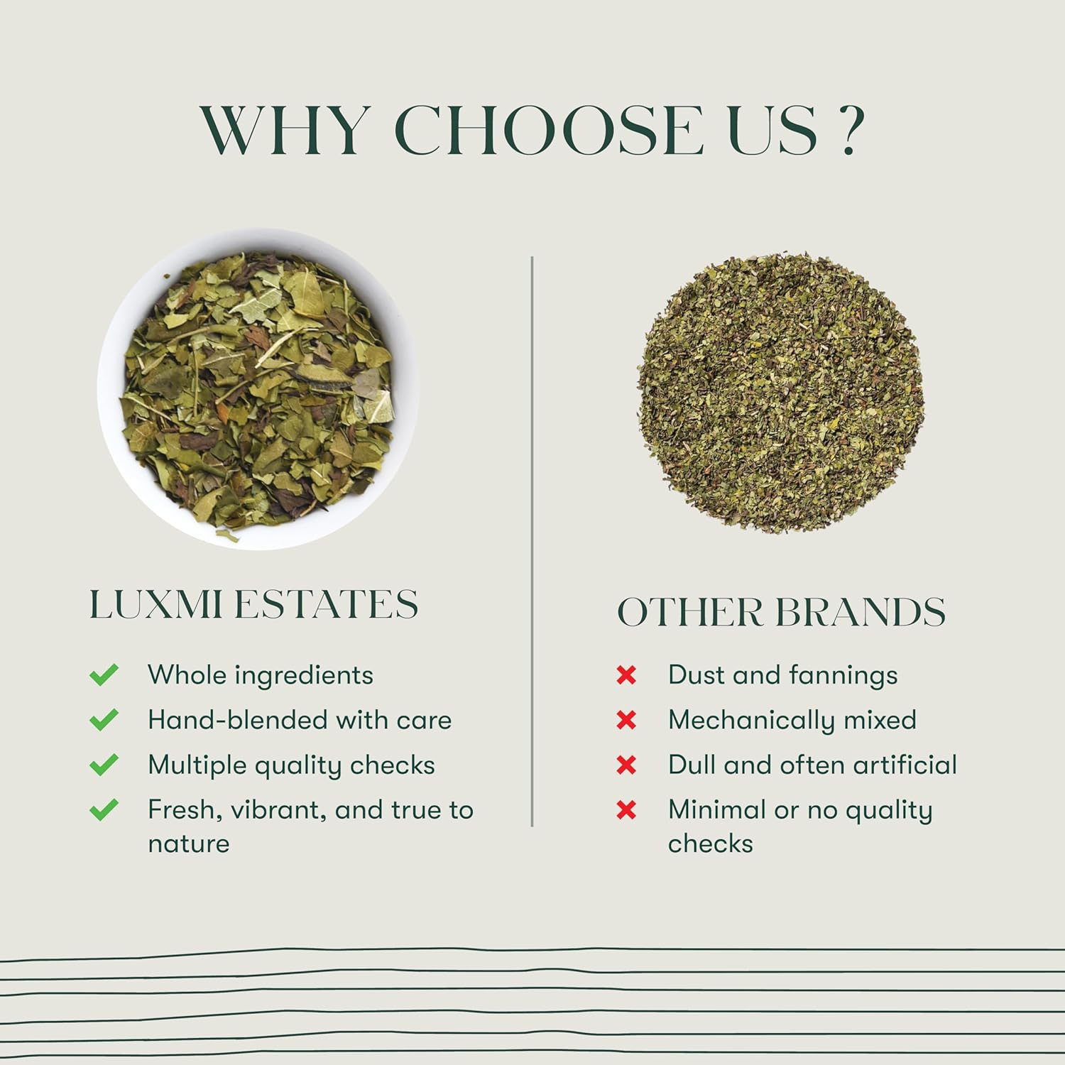 Luxmi Estates Moringa Mint Organic Moringa Mint Green Tea (50 Tea Bags) Caffeine Free Tea Bags For Digestion, Detox, and Stress Relief, With Certified Organic Herbal Tea