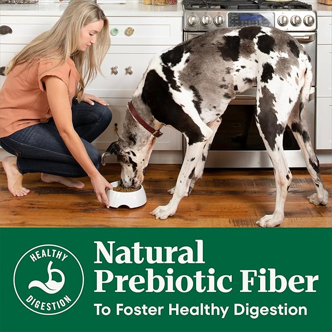 Nutro Natural Choice Adult Large Breed Dog Food Dry, Chicken & Brown Rice Recipe, 36 lb. Bag