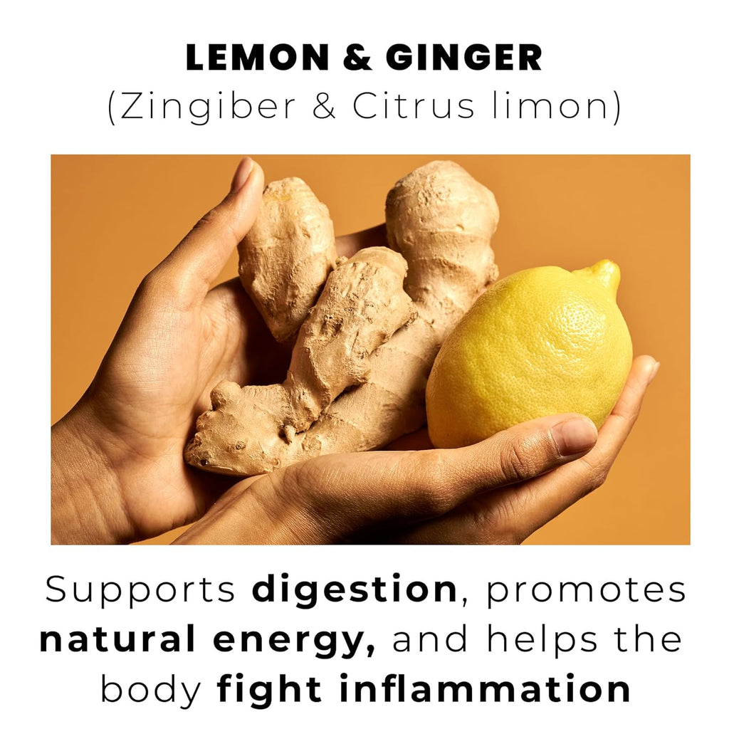 LEMON & GINGER, loose leaf 100 tea bags BRIGHT, ZESTY AND SOOTHING