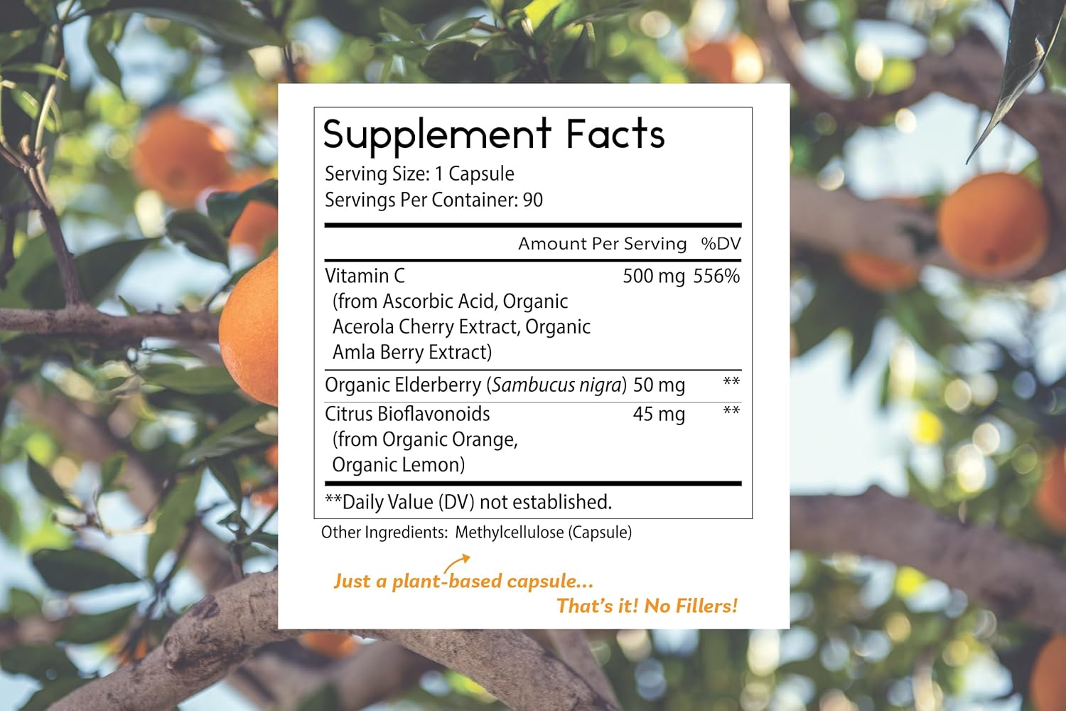 Thomas' all-natural Remedies Vitamin C with Organic Elderberry, Organic Citrus Bioflavonids - Whole Food Supplement - Non-GMO - Raw Vegan - 90 Capsules