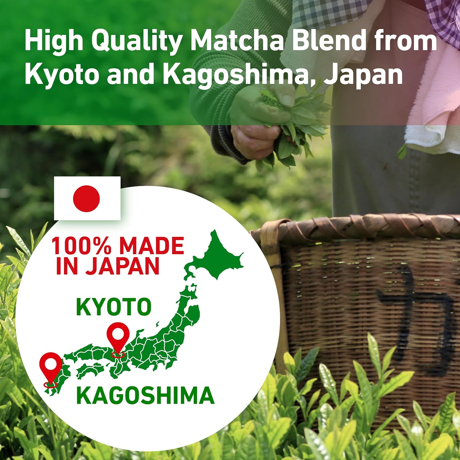 Kyoto Geisha Matcha Organic Ceremonial Grade - Authentic Japanese Matcha Green Tea Powder Blend from Kyoto & Kagoshima (30g / 1.06oz)