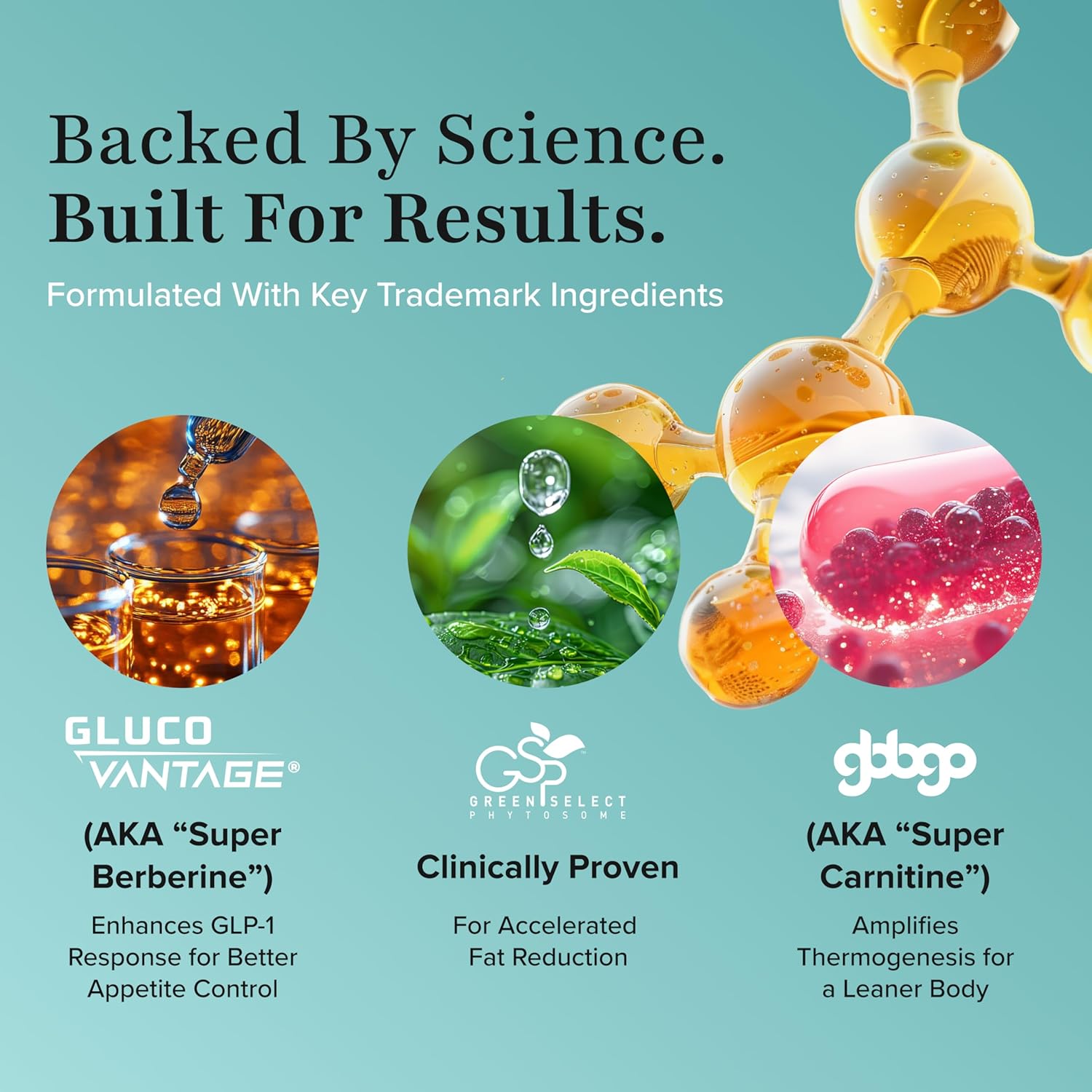 BURN30 GLP-1 Supplement - Super Berberine Weight Management Support GLP1 Naturally | Advanced Appetite Control & Metabolism Support with Clinically Studied Ingredients  | Stimulant Free