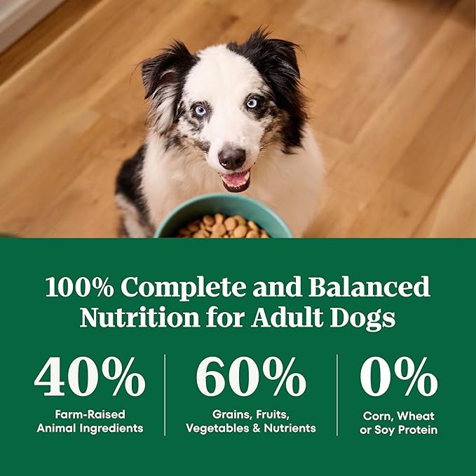 Nutro Natural Choice Adult Large Breed Dog Food Dry, Lamb & Brown Rice Recipe, 30 lb. Bag