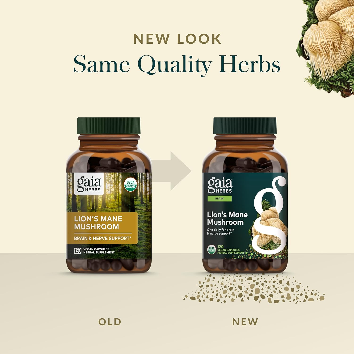 Gaia Herbs Lion’s Mane Mushroom - Brain & Nerve Health Support - 120 Vegan Capsules