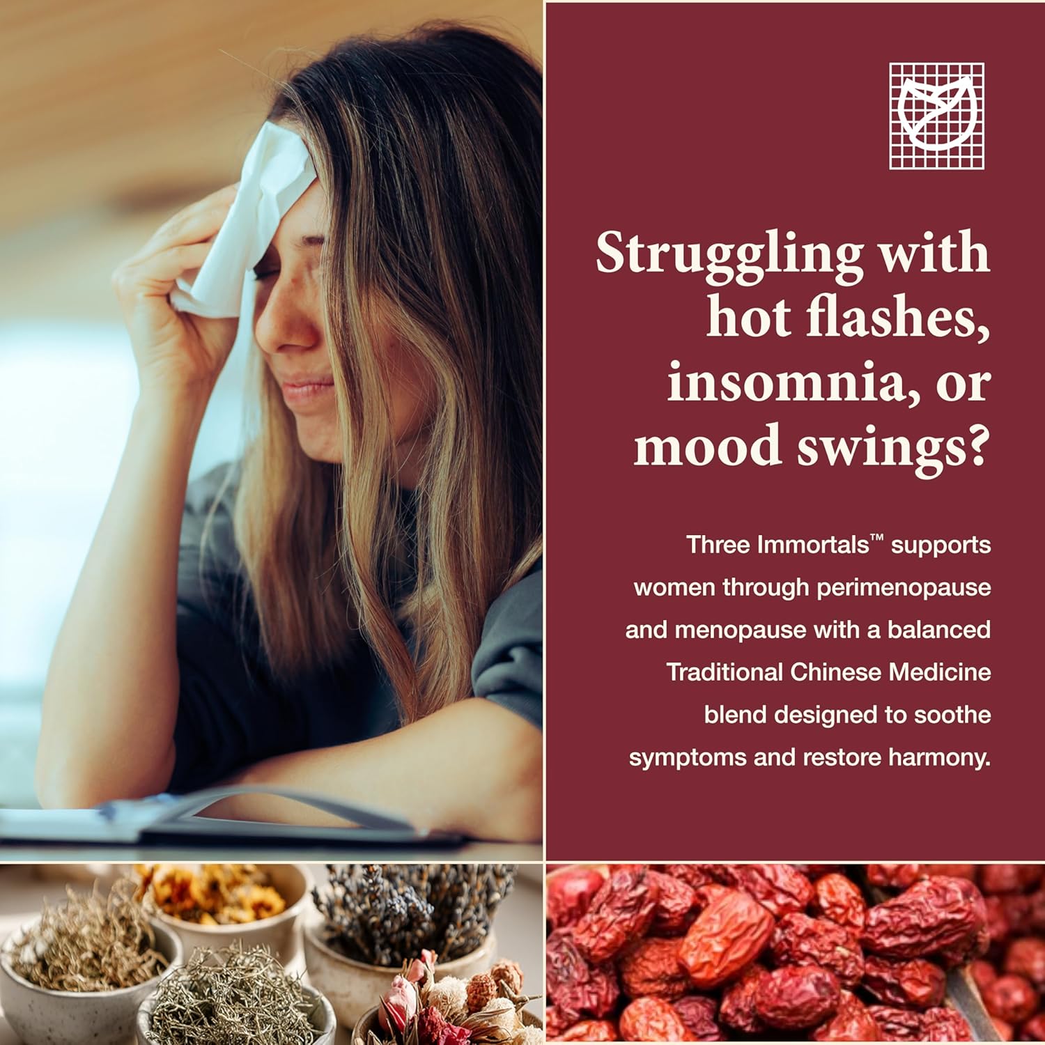 Health Concerns Three Immortals - Menopause Support Supplement - Powerful Relief for Hot Flashes, Hormone Imbalance & Night Sweats - Dong Quai, Epimedium, Morinda, Rehmannia & Lycium - 90 Capsules