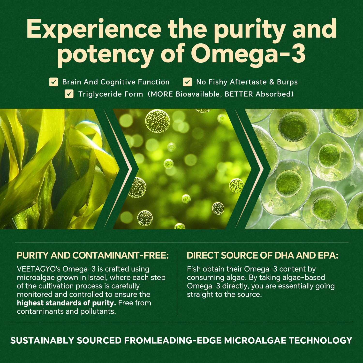 Vegan Omega 3 Gummies 1200mg - Dual Layer - Fish Oil Alternative, Marine Algae Omega 3 Supplement DHA 600mg, EPA 400mg with Astaxanthin,Sugar Free,60 Cts