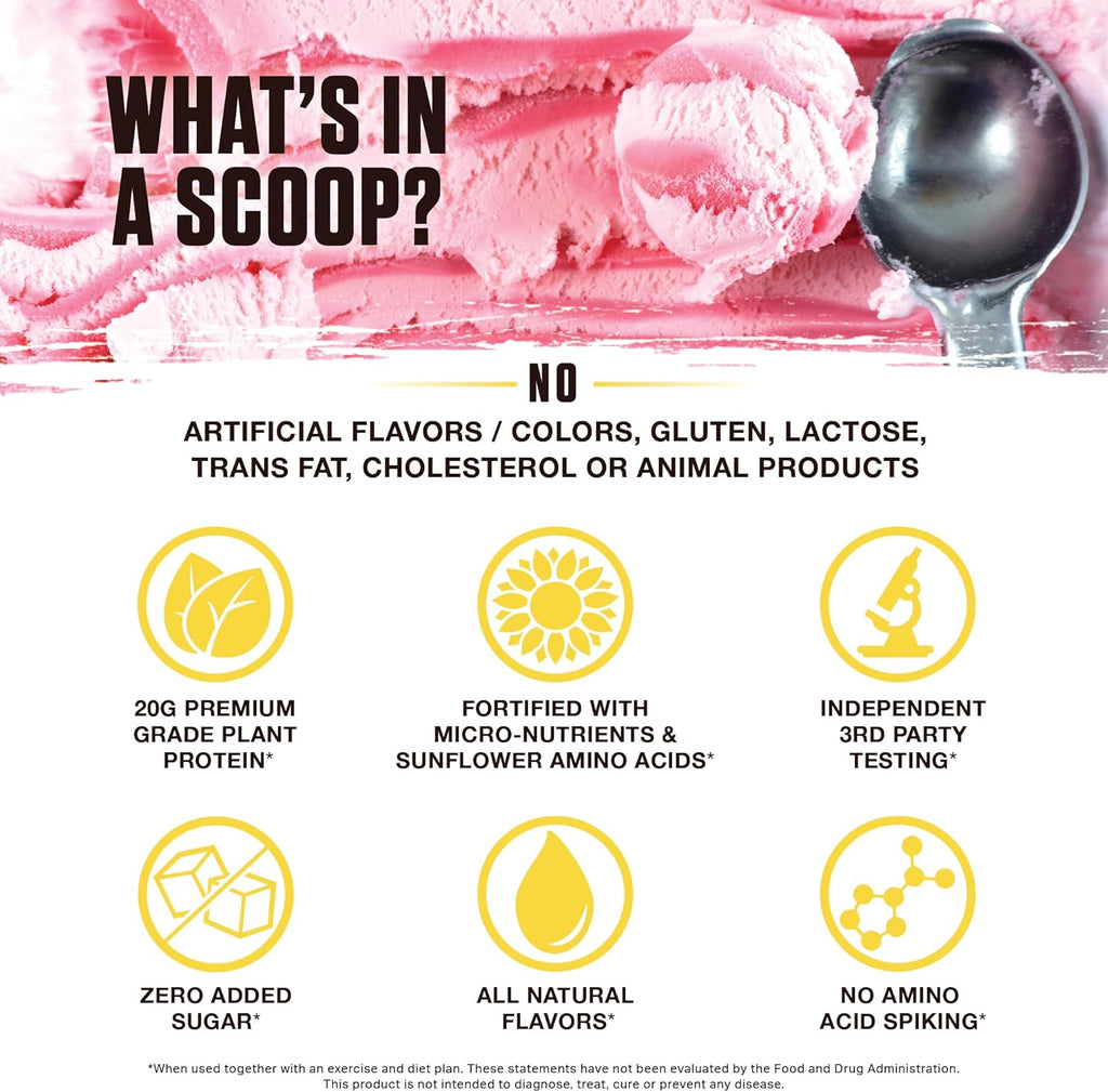 Ambrosia Planta - Premium Organic Plant-Based Protein | Vegan & Keto Friendly | Gourmet Flavors with No Bloating or Stomach Upset | No Added Sugar | 14 Servings | (Strawberry Ice Cream)