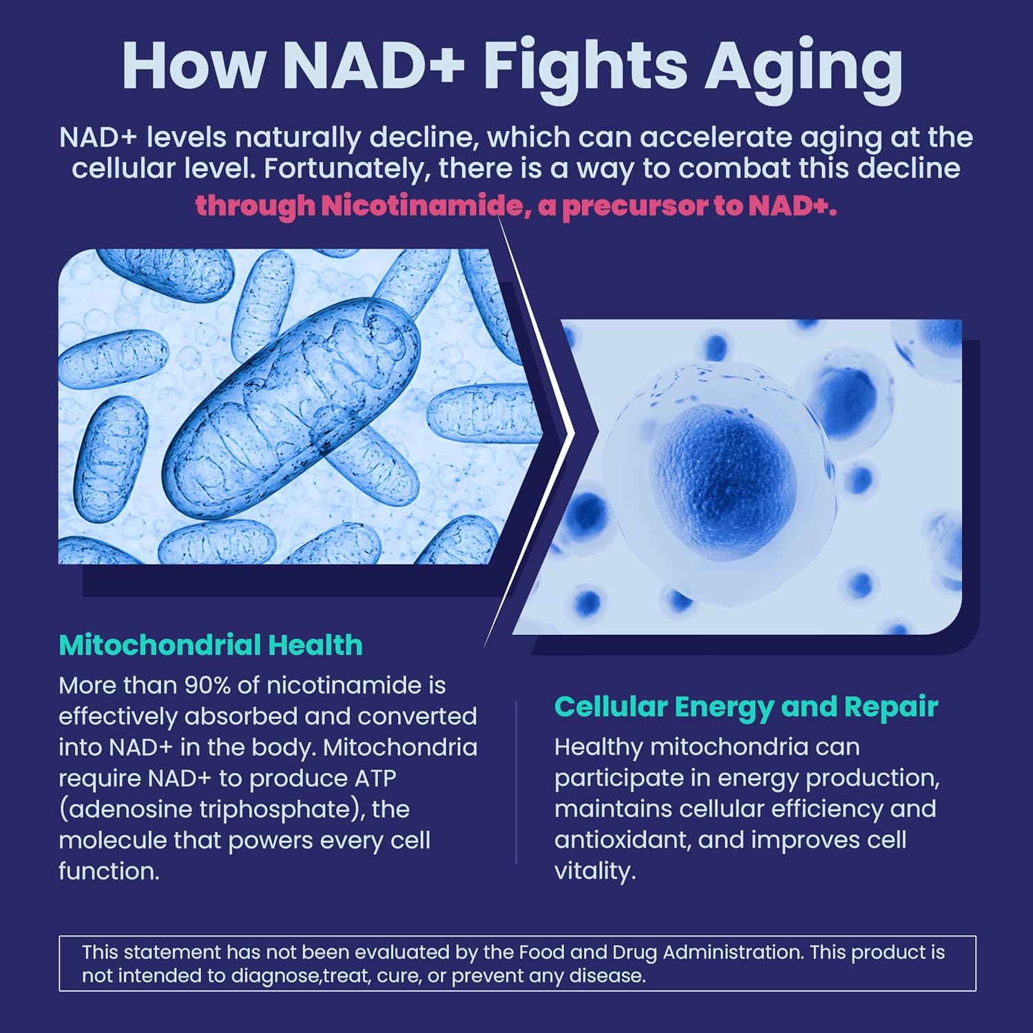 Nicotinamide 500mg Gummies, NAD+ Supplement for Women & Men w/Collagen Peptides, (Flush Free Niacin) Vitamin B3 Niacinamide for Anti-Aging, NAD+ Levels, Longevity, Focus & Brain, Sugar Free, 60Cts