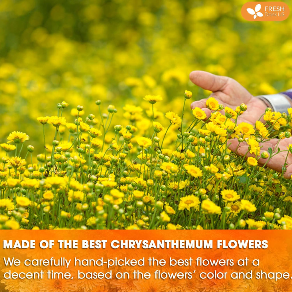 FreshDrinkUS, Premium 5oz Chrysanthemum Flowers, 100% Natural & Pure Chrysanthemum Flower Dried, Chrysanthemum Herbal Tea, No Additives, No Caffeine, Vegan