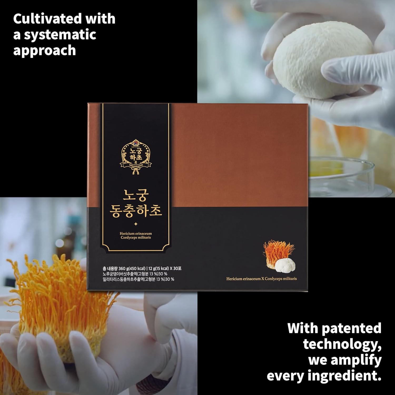 [Nogung Dongchunghacho] CordLion - Cordyceps & Lion’s Mane Mushroom Supplement – Supports Natural Energy & Immune System - 100% Real Extract, Herbal Formula for Daily Wellness – 30 Sticks