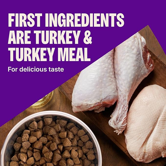 Wellness CORE Dry Dog Food, Grain-Free, High Protein, Natural, Healthy Weight Turkey & Chicken Recipe, (4-Pound Bag)