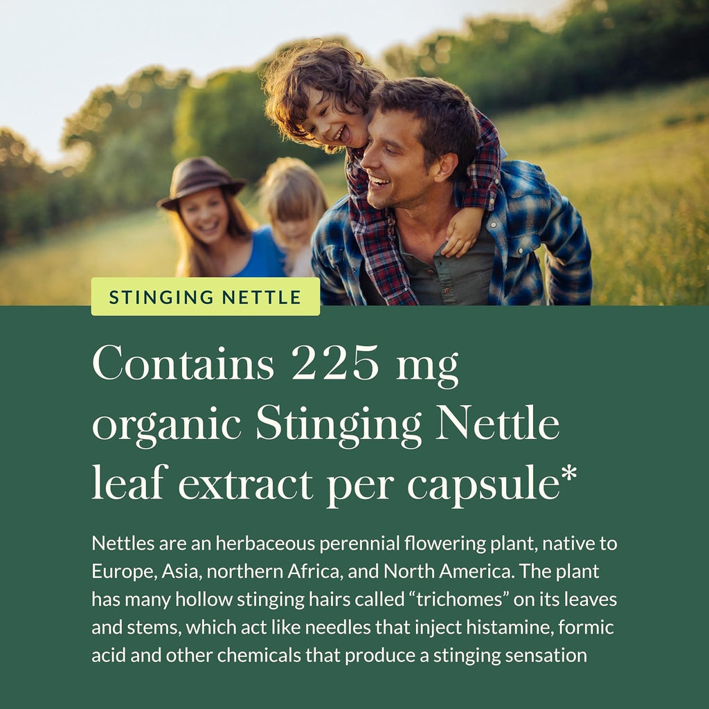 Gaia Herbs Stinging Nettle Leaf - Respiratory & Immune Health Support* - Supplement with Stinging Nettle Leaf Extract - Vegan, Gluten-Free, Soy-Free - 60 Liquid Phyto-Caps (30 Servings)