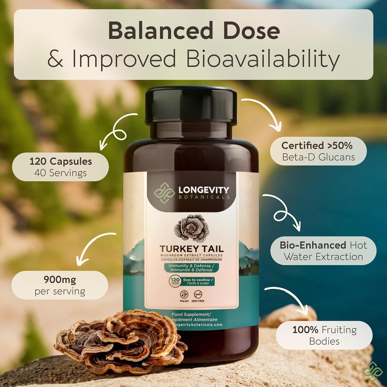 Organic Turkey Tail Mushroom Capsules Supplement (120) | Pure Fruiting Body 10:1 High Strength Extract | 50% Beta-D Glucans | 9,000mg Raw Equivalent Per Serving | Immune, Gut & Microbiome Support