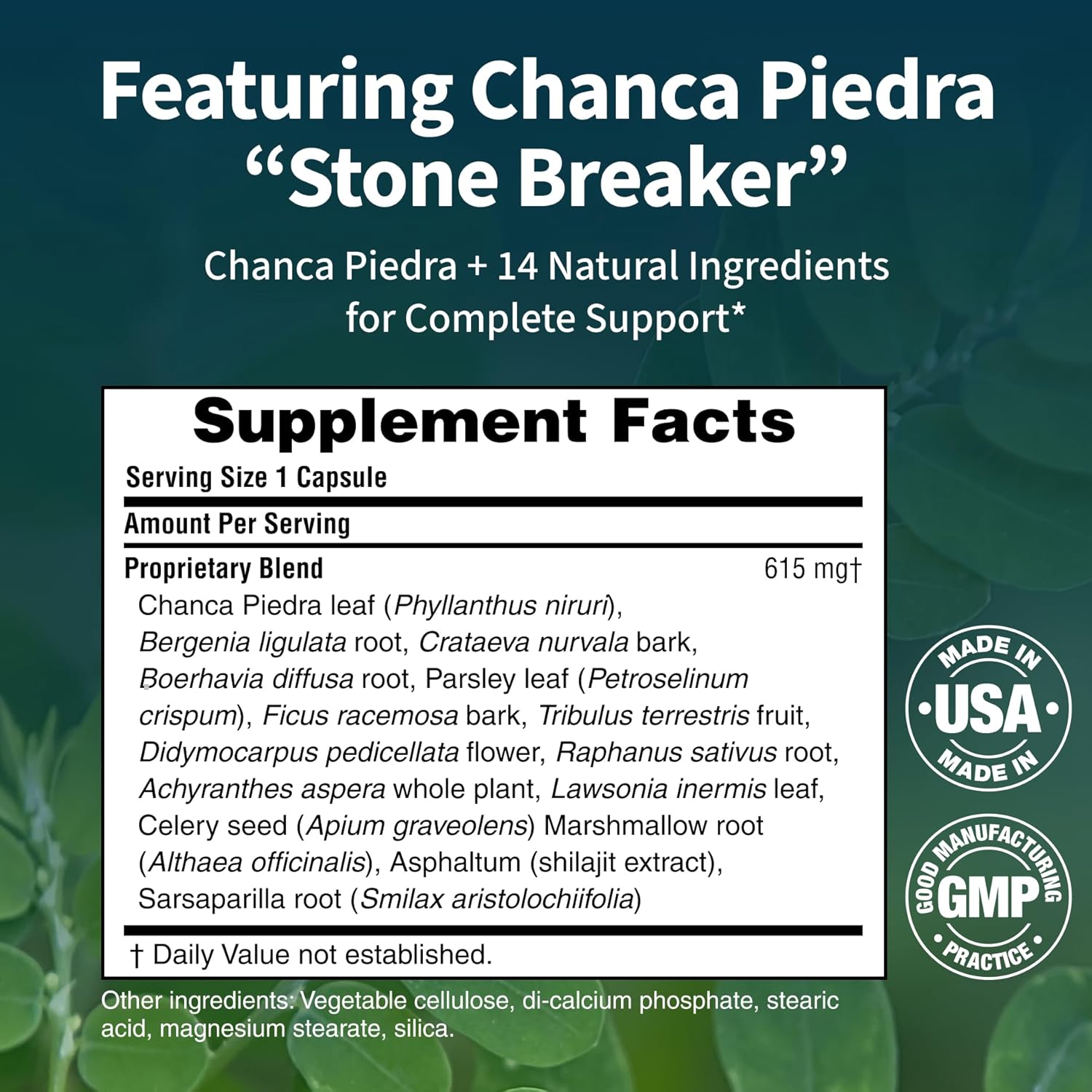 Kidney Cleanse - Premium Kidney Support Supplement with Chanca Piedra Stone Breaker - Supports Natural Cleansing & Urinary Tract Health - 60 Capsules (Pack of 3)